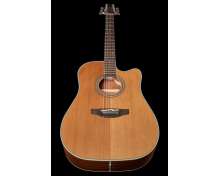 Takamine GD20CE-N