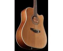 Takamine GD20CE-N