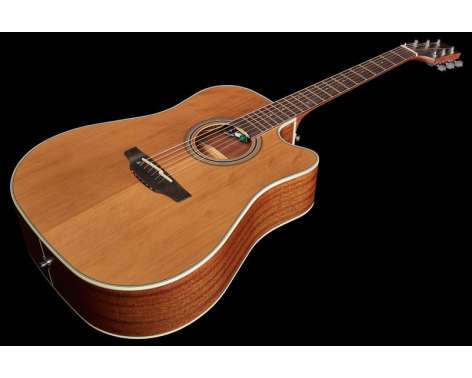 Takamine GD20CE-N