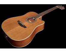 Takamine GD20CE-N