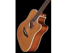 Takamine GD20CE-N