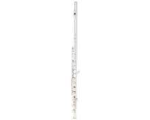 Fliphead Flute Bundle FL1-SE AM-2