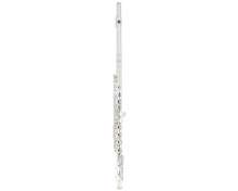 Fliphead Flute Bundle FL1-SE AM-2