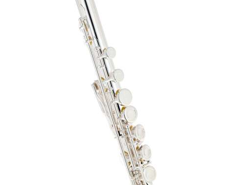 Fliphead Flute Bundle FL1-SE AM-2