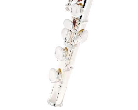 Fliphead Flute Bundle FL1-SE AM-2