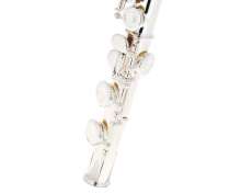 Fliphead Flute Bundle FL1-SE AM-2