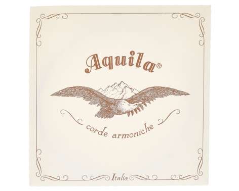 Aquila 160D140 Wound NG Lute String