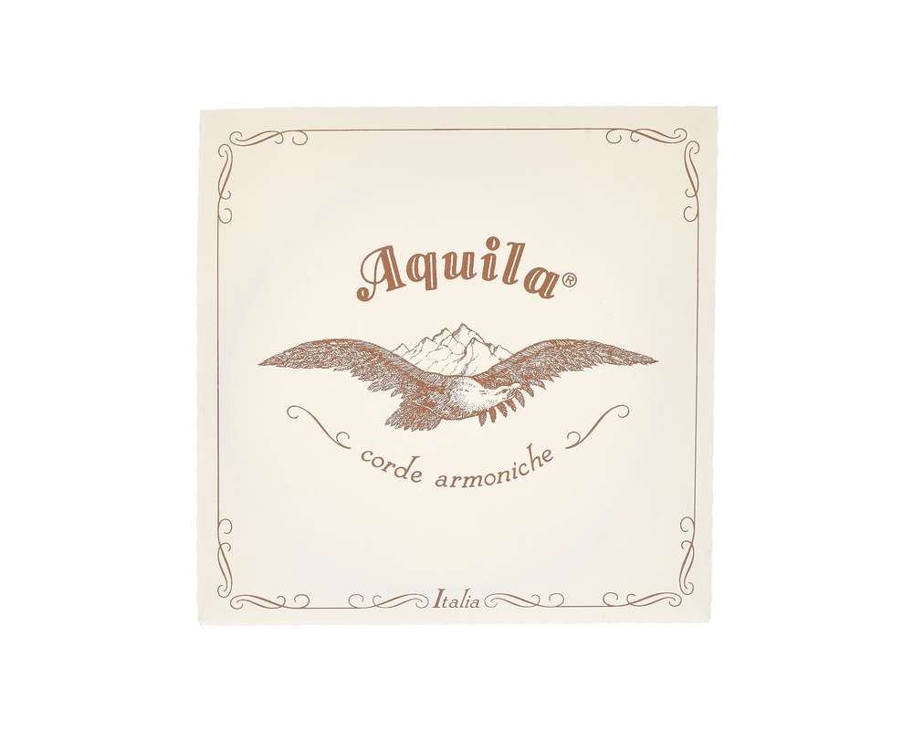 Aquila 160D140 Wound NG Lute String