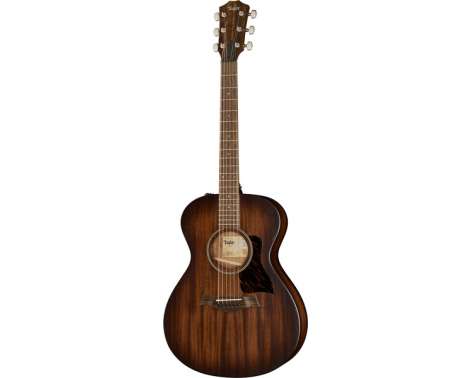 Taylor American Dream AD22e SEB