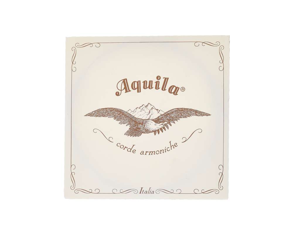 Aquila 108D140 Wound NG Lute String