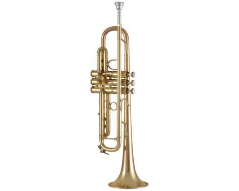 Bach 17043GY Bb-Trumpet