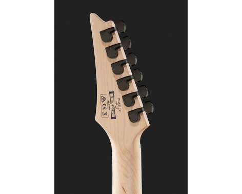 Ibanez RG421EX-BKF