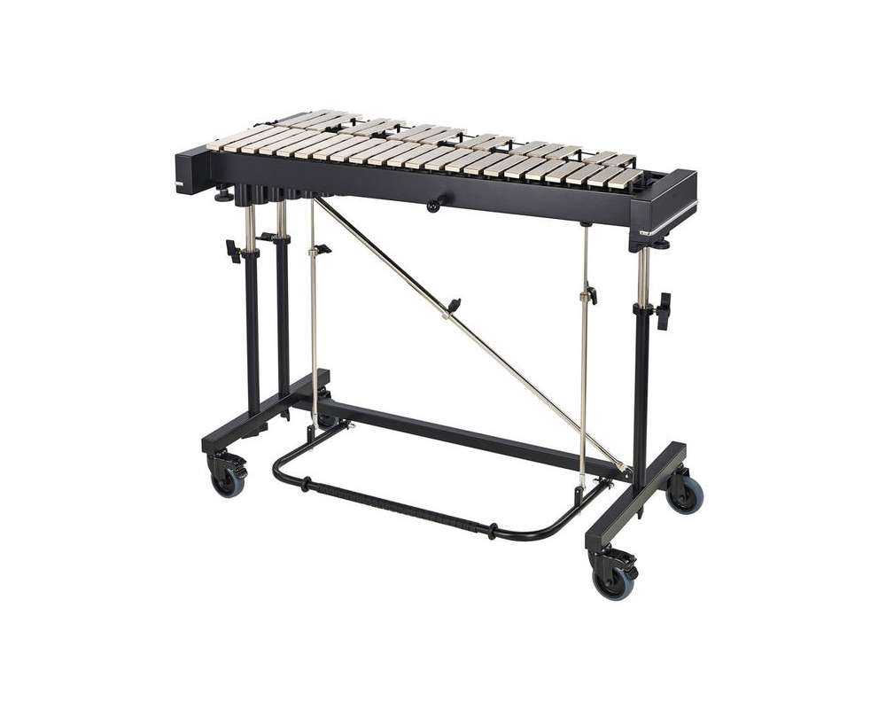 Studio 49 RGC 3030 Glockenspiel A443 M