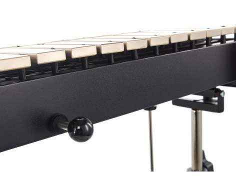 Studio 49 RGC 3030 Glockenspiel A443 M