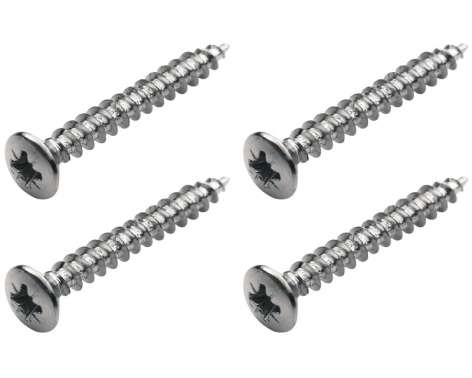 Warwick Screws Bolt-On Necks/Strap CH