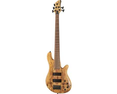 Franz Bassguitars Merak 5 Spalted Alder LTD 2024