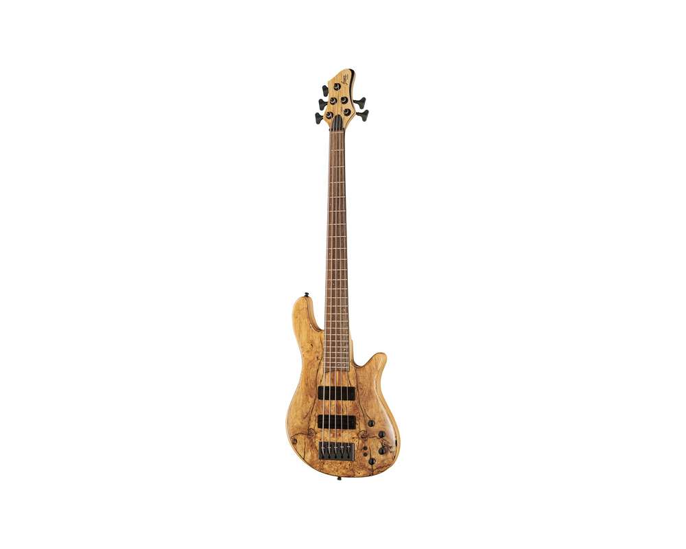 Franz Bassguitars Merak 5 Spalted Alder LTD 2024