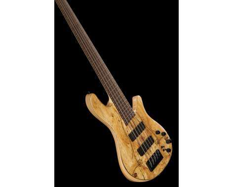 Franz Bassguitars Merak 5 Spalted Alder LTD 2024