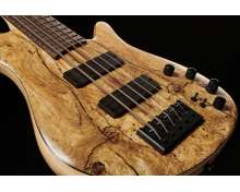 Franz Bassguitars Merak 5 Spalted Alder LTD 2024