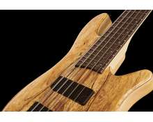 Franz Bassguitars Merak 5 Spalted Alder LTD 2024