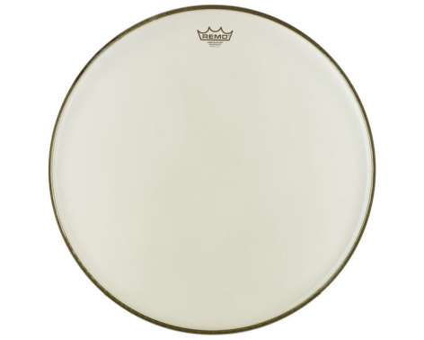 Remo 22" Renaissance Ambassador BD